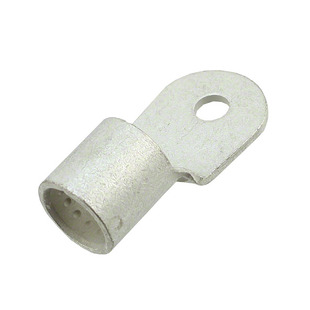 321869 Image